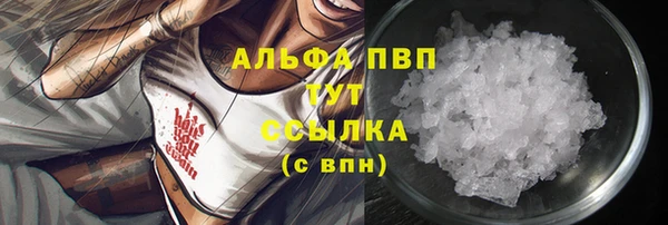 стафф Карпинск