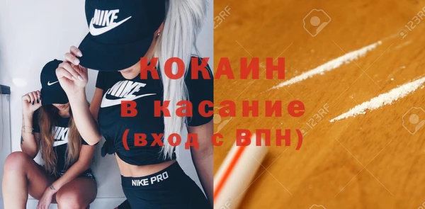 стафф Карпинск