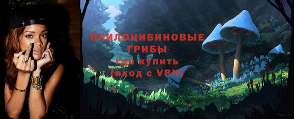 стафф Карпинск