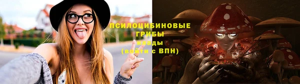 МДПВ Касимов