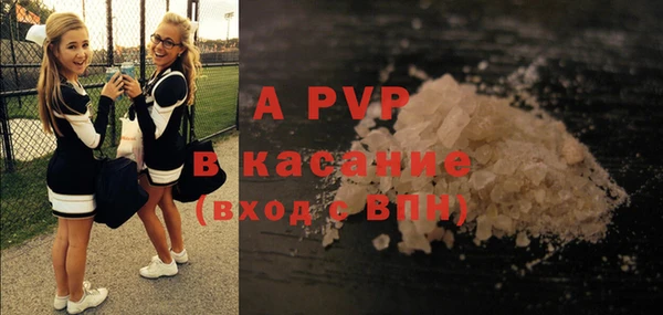 стафф Карпинск